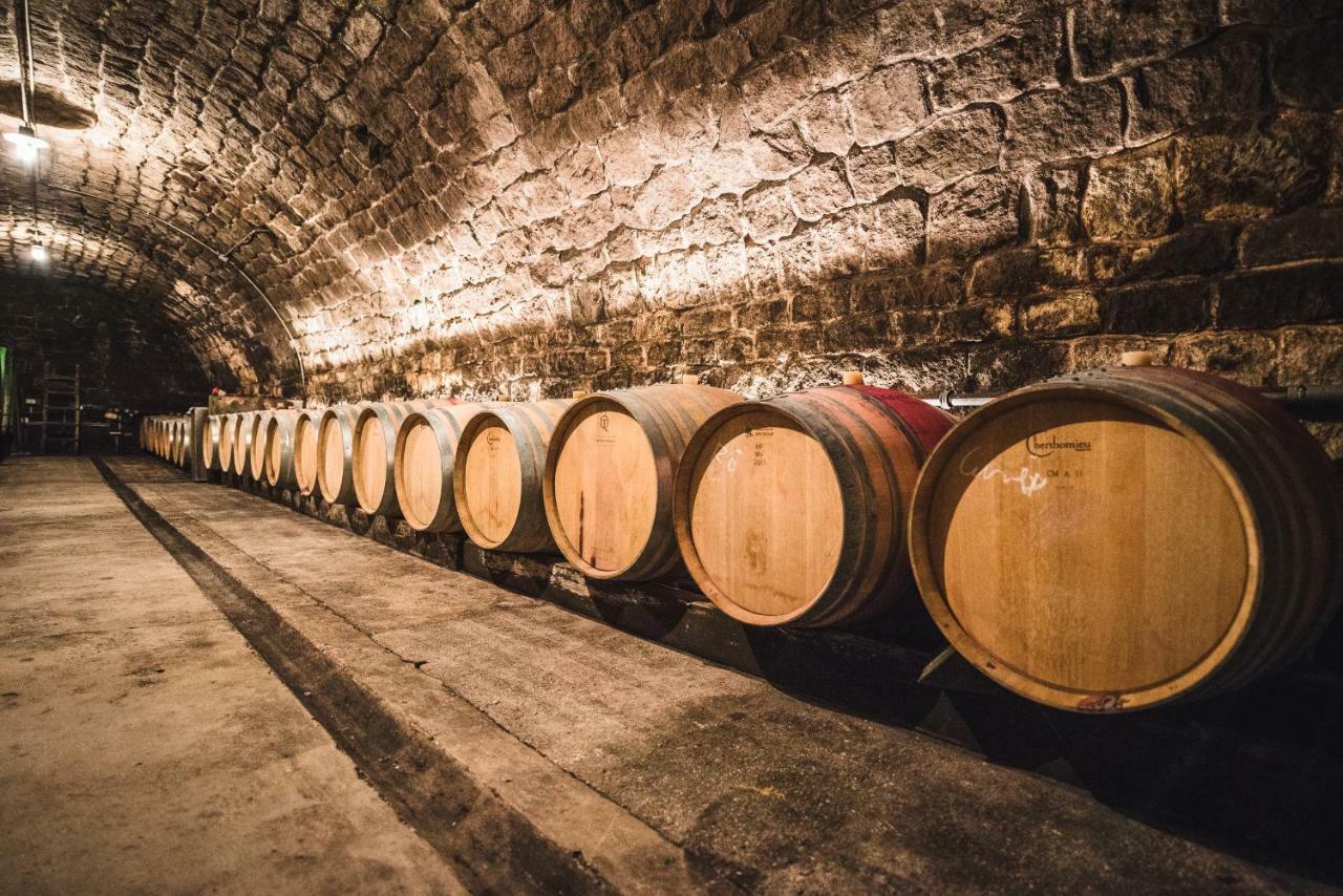 Weingut Gaestehaus D&D Haider Jois Eksteriør bilde